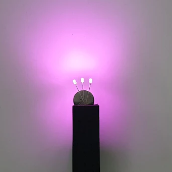 TX LEDs